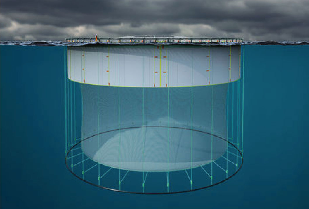 Fish Cage Project – Duniatz